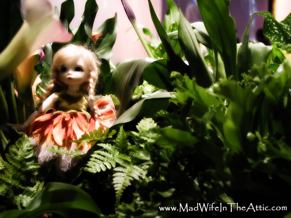 zzfairy antonio resized